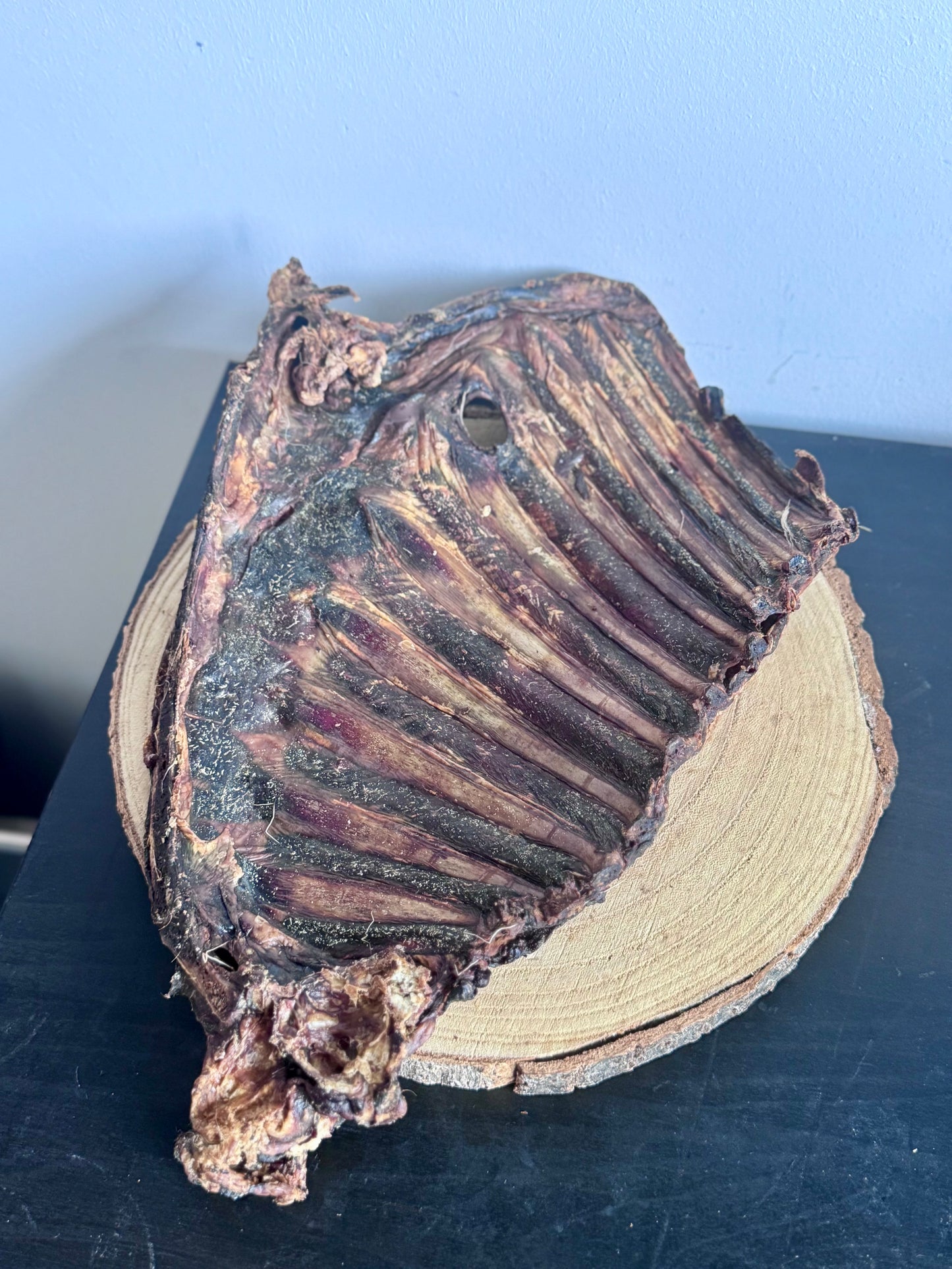 Roe deer ribs