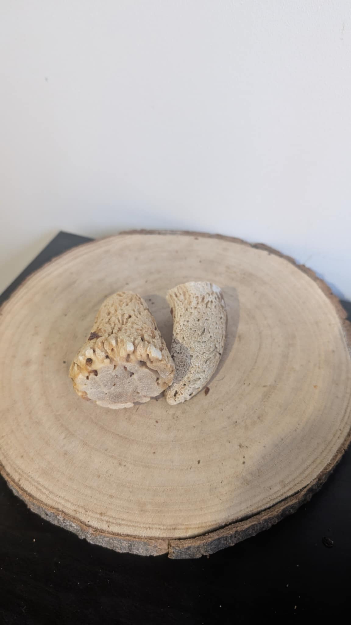 Cow horn marrow