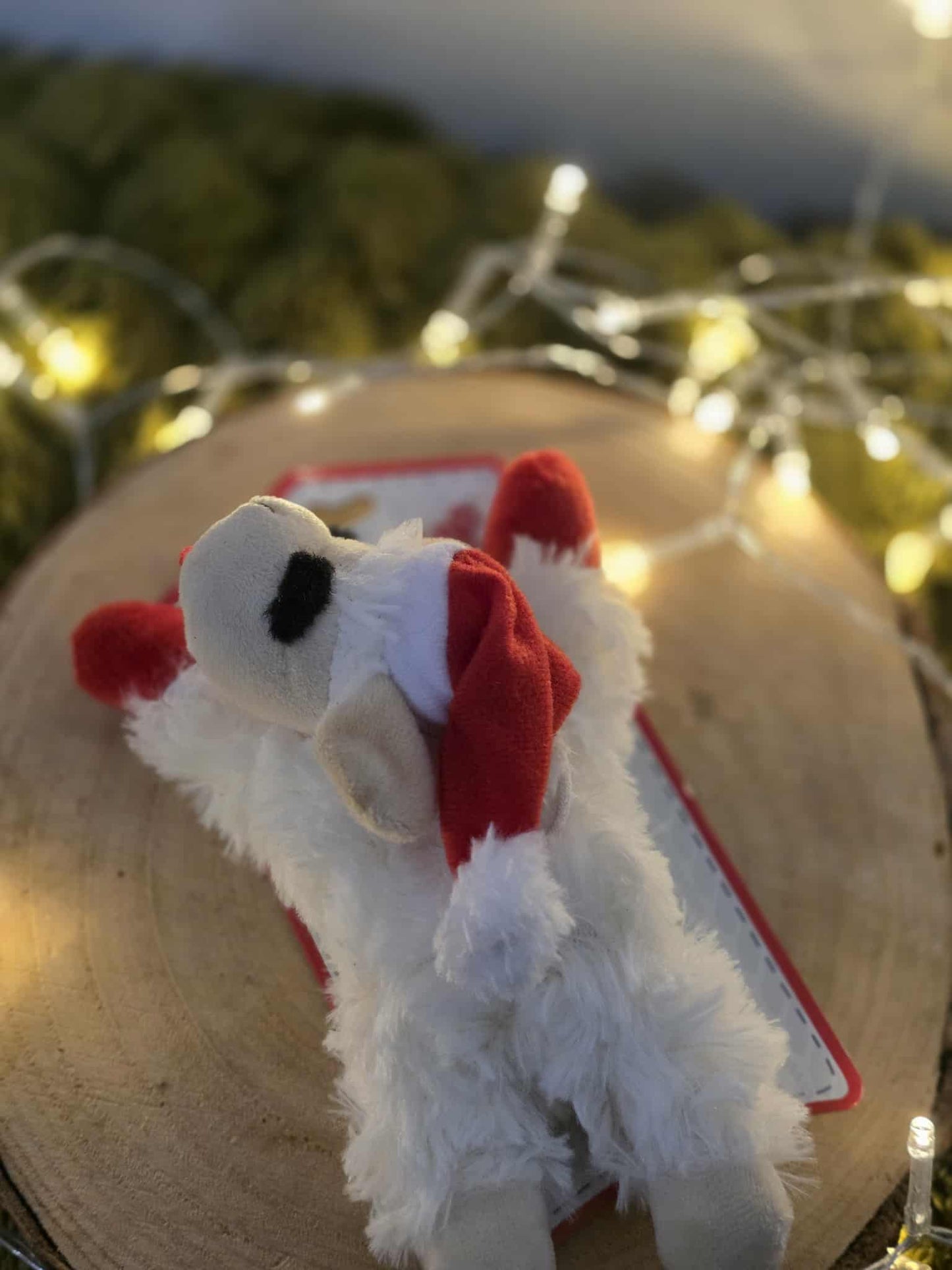 Festive lamb chop | Small