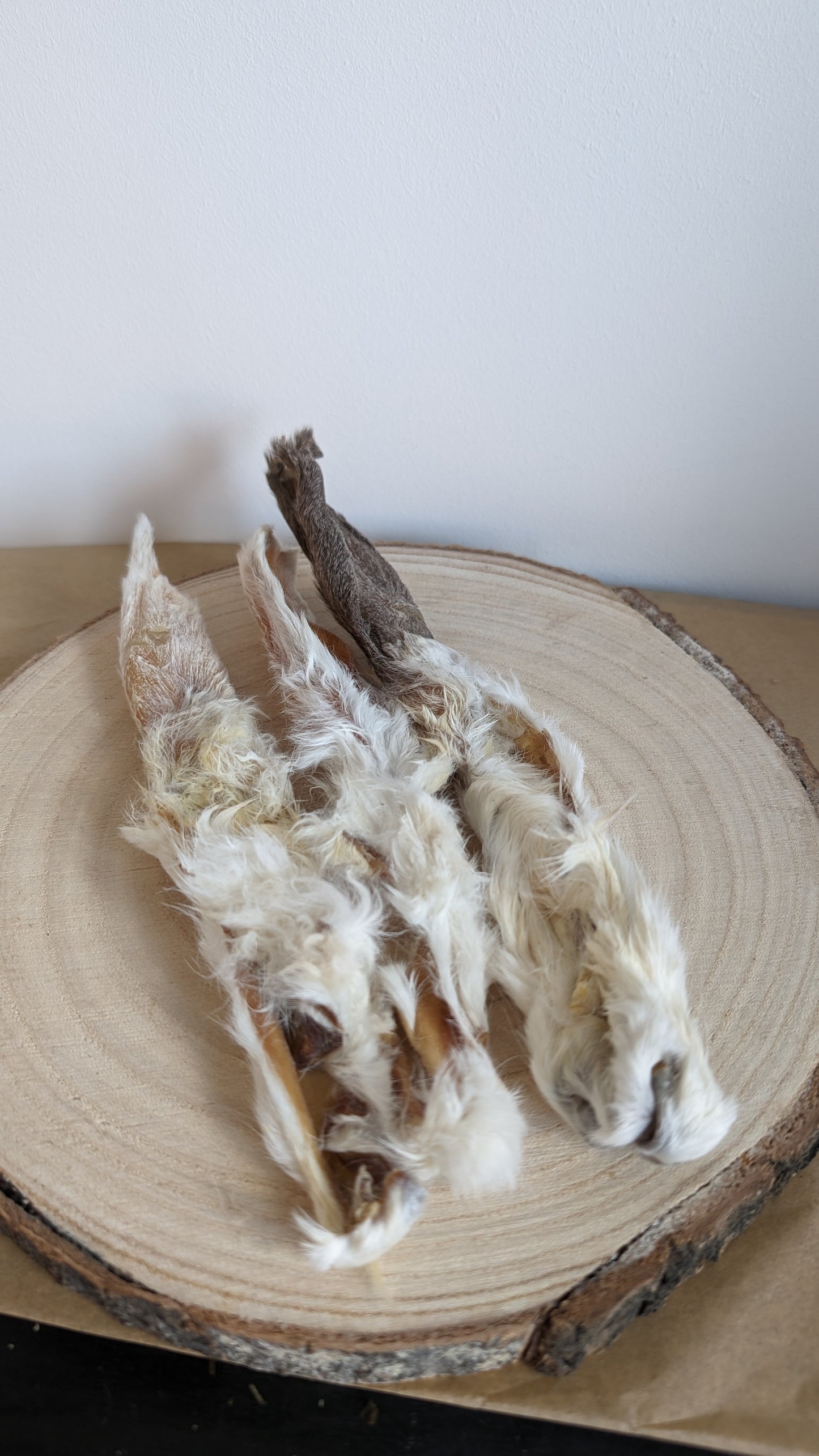 Furry Rabbit Ears