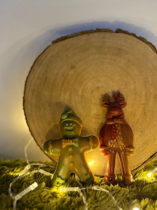 Ginger & Dasher veggie treats