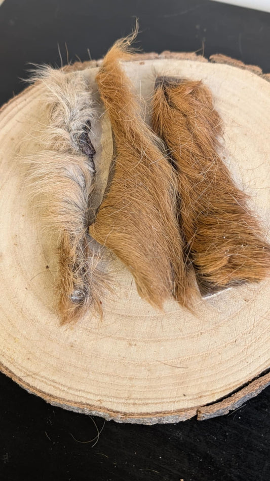 Hairy venison skin