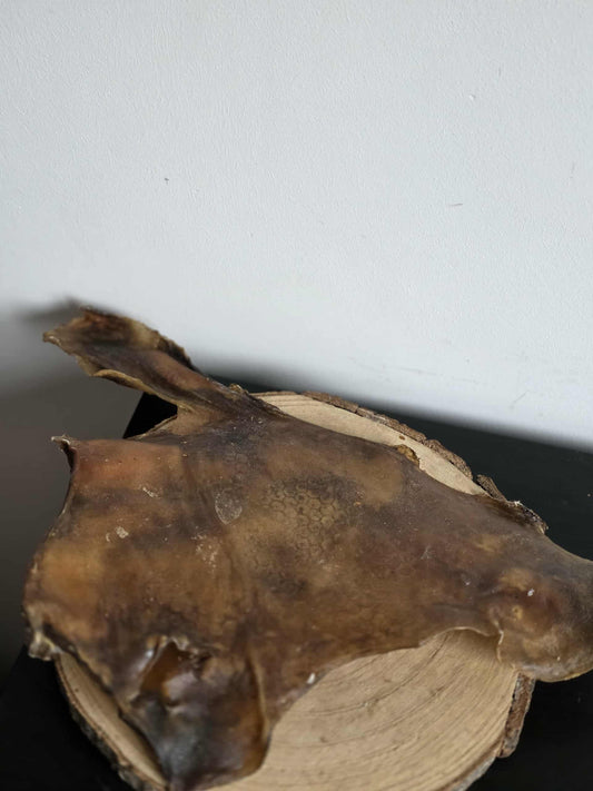Camel skin plate