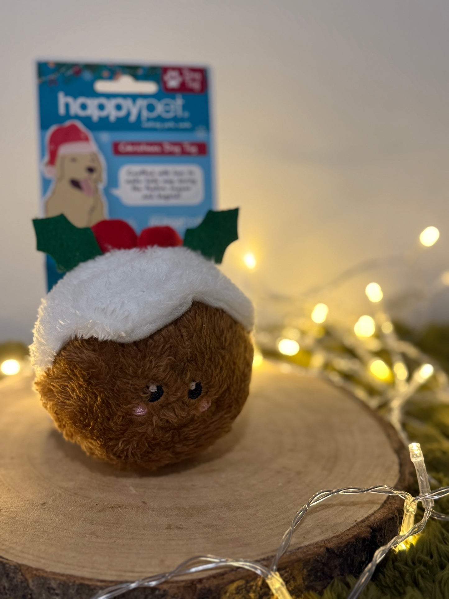Plush squeaky ball - Christmas pudding