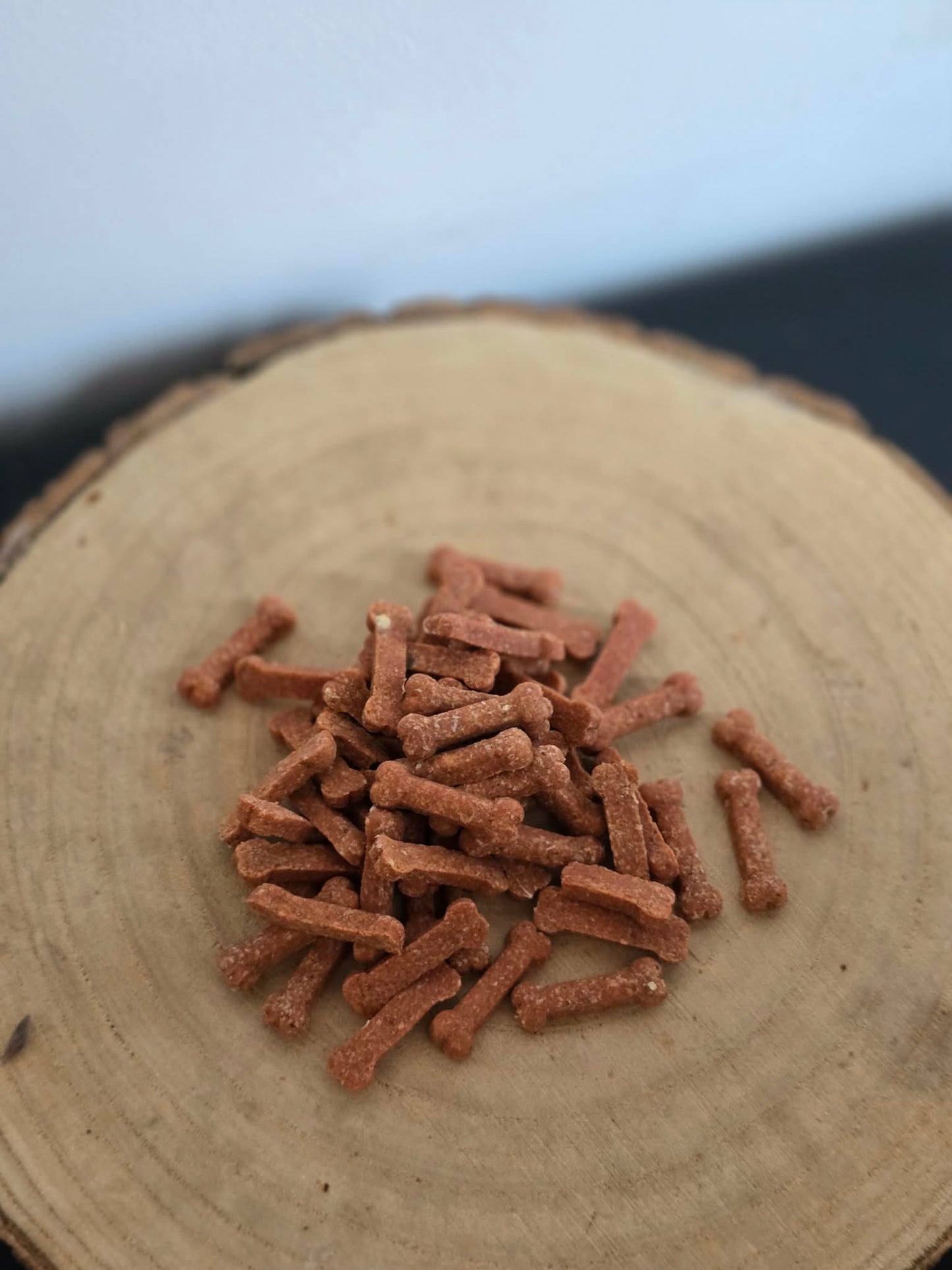 Mini training bone | Salmon