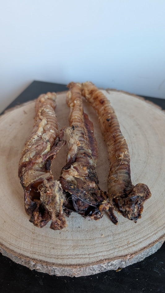 Lamb trachea