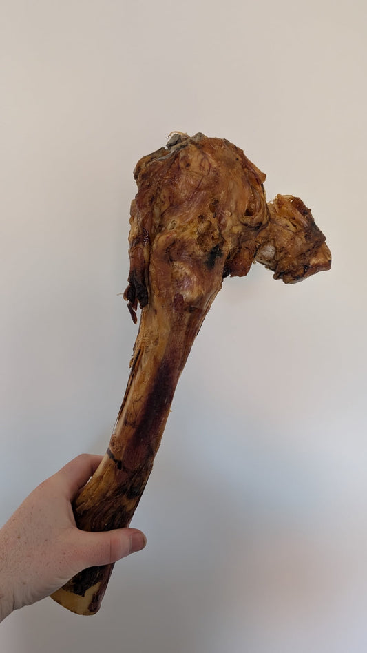 Postman’s leg bone