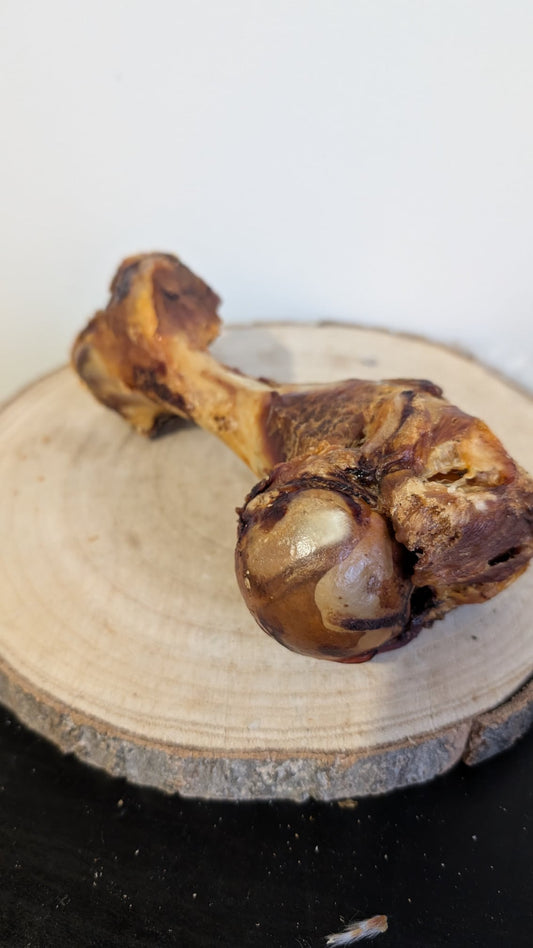 Pork femur bone