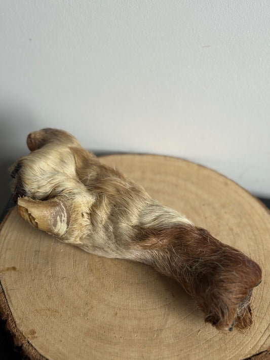 Furry beef roll