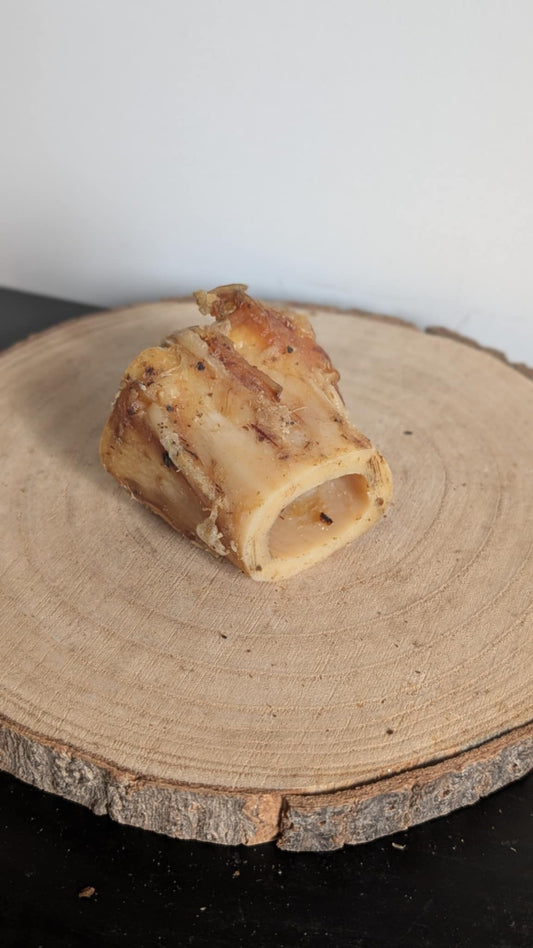 Hollow marrow bone
