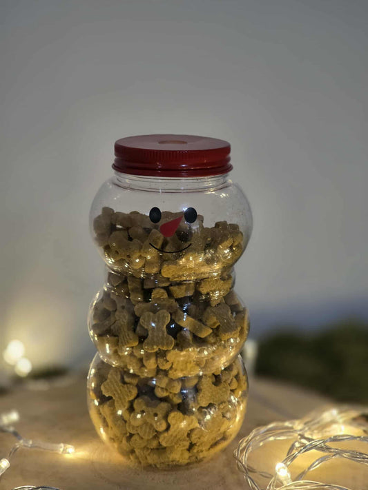 Snowman jar