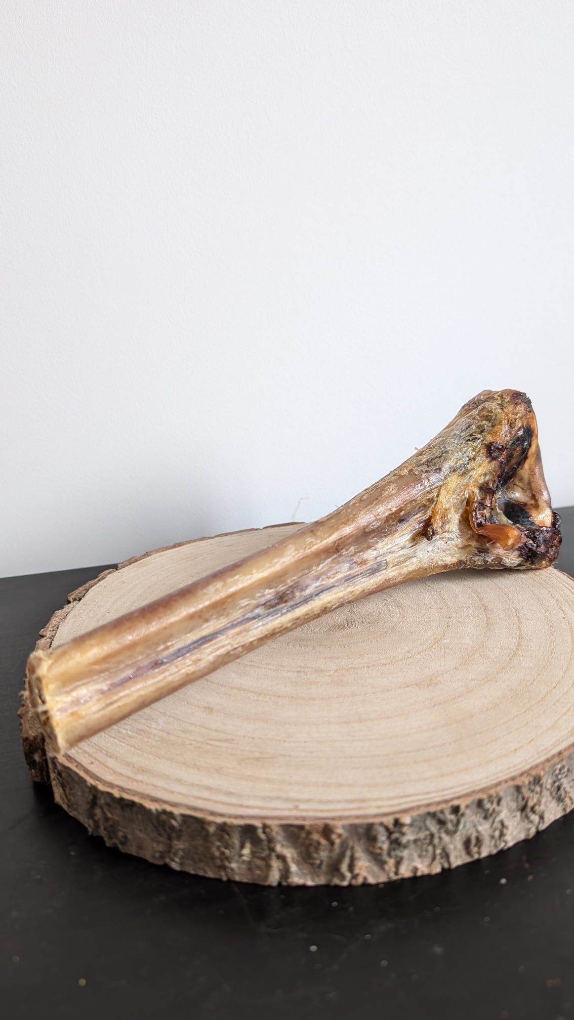 Ostrich metatarsus bone